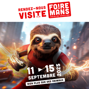 foire